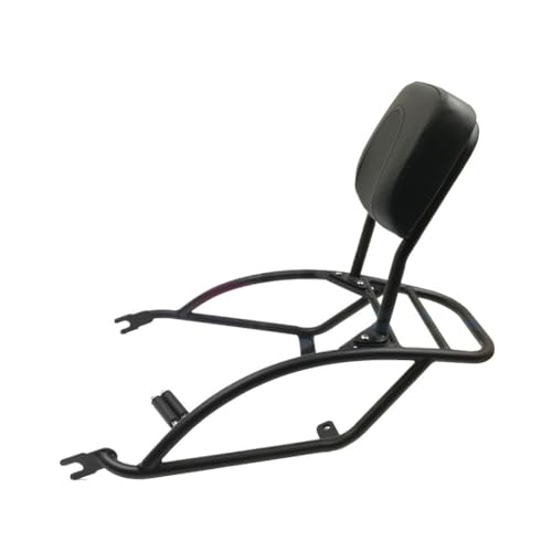 Porte-bagages étui de voyage de qualité supérieure pour Street Rod 750