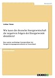  Wie kann die deutsche Energiewirtschaft die negativen Folgen der Energiewende abmildern?: Eine Analyse nachhaltiger Synergieeffekte bei Energieversorgungsunternehmen in Deutschland