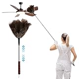 Plumero de Avestruz con Mango telescópico de Acero Inoxidable, 55 – 153 cm, Plumero con Plumas de Avestruz, Estable, Antideslizante, para Limpiar Esquinas muertas, Paredes, Ventiladores de Techo