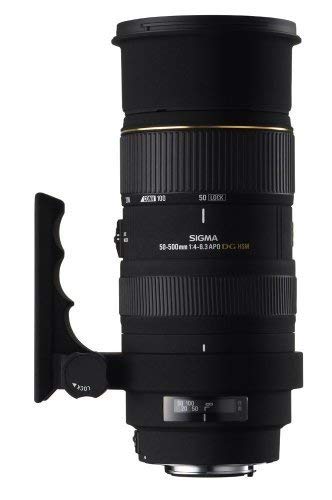 シグマ 50-500mm F4-6.3APO EX DG HSM ニコン用