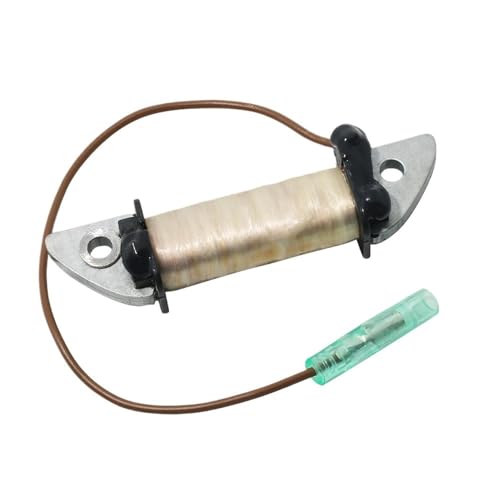 Bobine de moteur de bateau de rechange pour hors-bord 3HP 4HP 5HP 2T