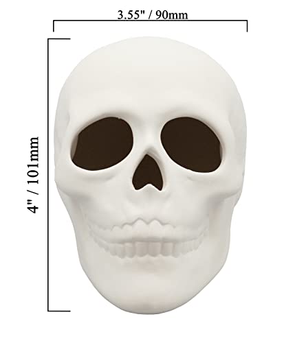 Ready to Paint Ceramic Bisque Skull, 5 in L x 4 in H, Halloween Craft Activity, Includes How to Paint Your Own Pottery Booklet - Thumbnail 4