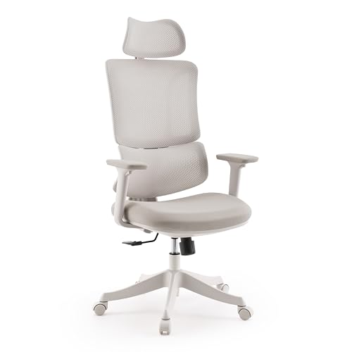 MyBuero Ergomy Colore - Silla de escritorio ergonómica, respaldo transpirable, soporte lumbar ajustable, reposabrazos 3D y reposacabezas, color beige
