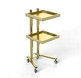 2-Tier Stainless Steel Salon Trolley Cart on Wheels, Mobile Hairdressing Tray for Professional Beauty Services, Hair Salon Equipment, Durable and Stylish
