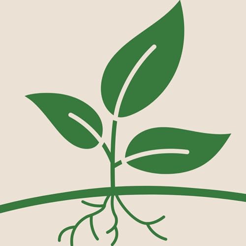 『Clarence Church of Christ』のカバーアート