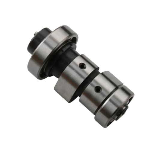 Arbre à cames pour rénovation moteur Leonardo 250 300cc et Linhai