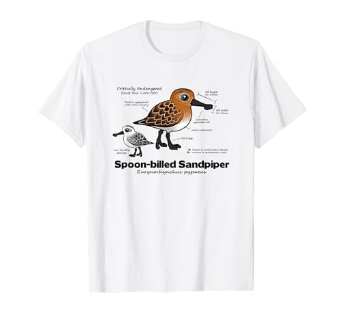 Spoon-billed Sandpiper Statistics Cartoon Spoon Beach Runner Men Women Kids T-Shirt