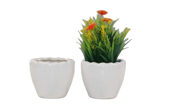 NewLeaf Ceramic Planter/Pot 4 Inch. -Handcrafted Flower Pots for Home Garden Decor, Indoor Table Planters, Outdoor Pots Without Plants Containers for Balcony Decoration. (Apple 4 Inch) (B09SRH16PQ) Amazon Price History, Amazon Price Tracker