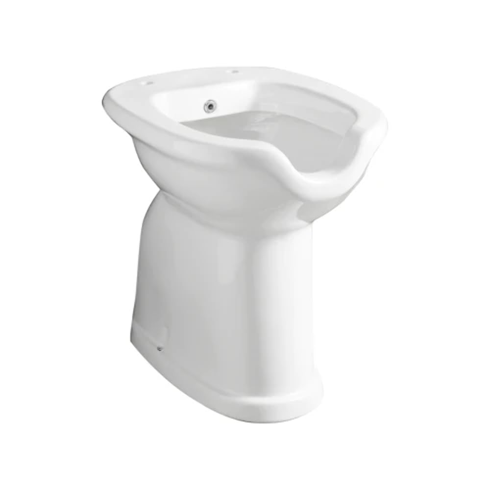 Sanitari Bagno Ceramica VASO / BIDET DISABILI COMPLETO DI EROGATORE Muro