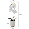 Product Photo 2