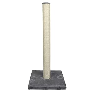 Ebi Europet – Rascador para Gatos (90 cm), Color Gris Claro