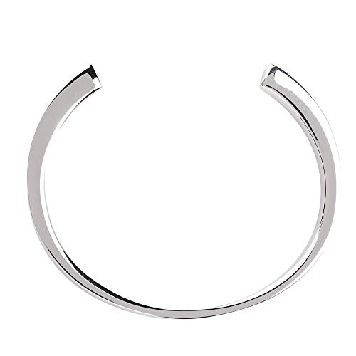 Pssopp Animaux Bracelet Urne Bracelet en Acier De Titane Bracelet De Cendres pour Animaux Mémorial...