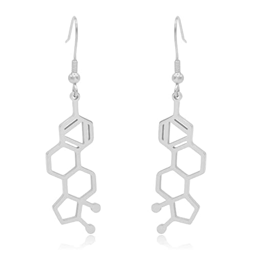Estrogen Molecule Stainless Steel Dangle Earrings (Silver)