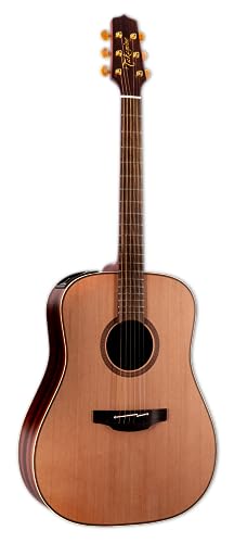 Takamine FN15AR Acoustic-electric Guitar - Natural