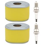 Savior 2 Pack GX160 Air Filter for Honda GX 160 GX200 GX140 5HP 5.5HP 6HP Engine Parts Replace 17210-ZE1-505 17210-ZE1-517 17210-ZE1-822 with Spark Plug