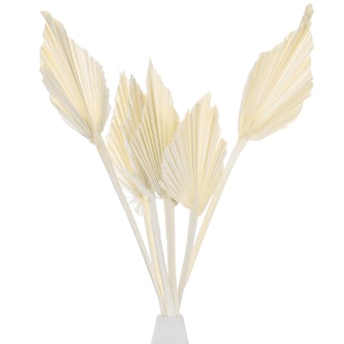 M METERXITY 6-Park Dried Palm Leaves 13.7x3.9 Natural Dried Real Palm Fans Palm Leaves Bulk for Boho Wedding/Home Bouquets Decorations Dried Gold Palm Leaf with Stem [White]