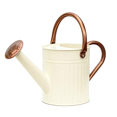 Bamworld Watering Can for Indoor Outdoor Plant Metal Watering Can with Removable Spout Embossd Design Plant Watering Devices Stainless Steel 1/2 Gallon Watering Cans Perfect Home & Garden Décor Creamy