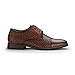 Ferro Aldo Franco MFA19731 Mens Woven Classic Cap-Toe Lace Up Derby Fashion Dress Shoes, in Woven Brown, Size 10.5