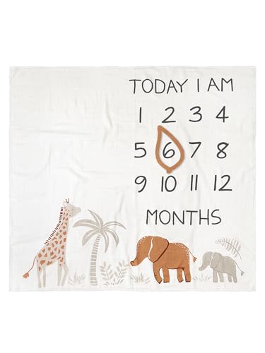 Image of Modern Moments by Gerber Muslin Milestone Blanket with Felt Month Marker Frame