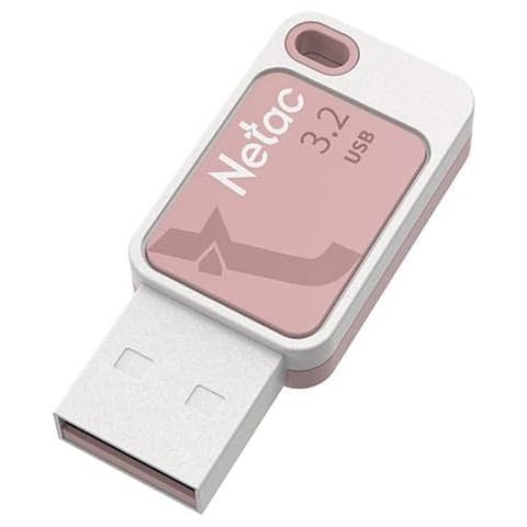Netac 256GB USB 3.2 Memory Pen, UA31, Software Encryption, Key Ring, Smoothies Pink Cover