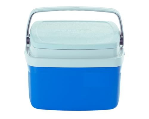 Caixa Térmica 5 litros Cooler com 4 Gelos Reutilizáveis 200 ML