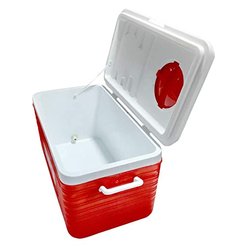 Image of Princeware Insulated Chiller Ice Box 50 to 51 LTR with Vent Lid,Tap