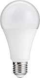 Es handelt sich um eine nicht dimmbare E27 LED-Birne. Die Glühbirnen sind nach dem Einschalten sofort hell