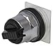 SCHNEIDER ELECTRIC 9001KS11FBH5 Selector Switch,30mm Sz,2 Position