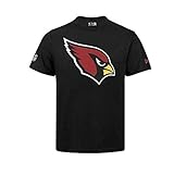 NFL Team Logo Arizona Cardinals / ARICAR
