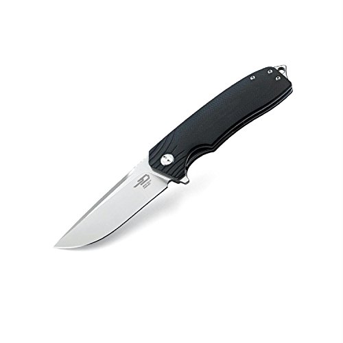Bestech Knife BG01A Folder 3.5 in Plain Edge Blade G10 Handle Hunting-Folding-Knives, Black