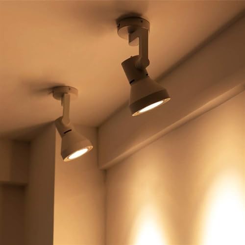 Projecteur COB orientable au design robuste et durable 20W - 5