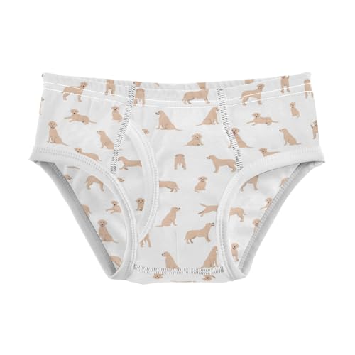 Boys' Exclusive Briefs Toddler Underwear 95% Combed Cotton Boxerbriefs 2T Golden Retriever Pattern 88