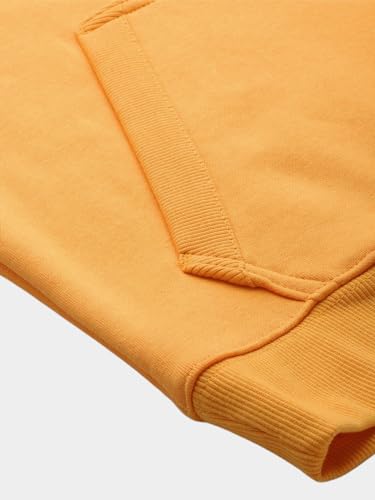 Image of Columbia Men CSC Basic Logo II Hoodie