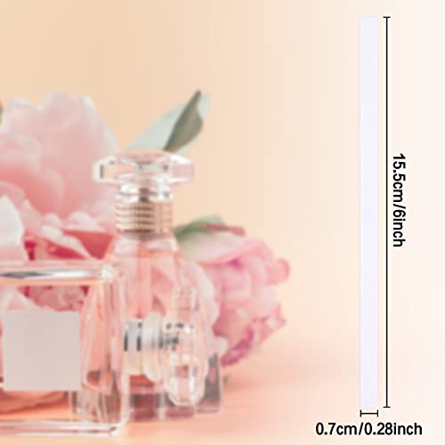 Bandelettes de test de parfum pour ateliers d'aromathérapie - 3