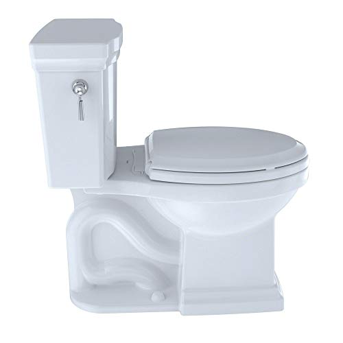 12 Best Flushing Toilets in 2021 Important Details & Buying Guide