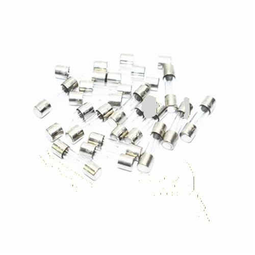 Fusibles en tube de verre 5 x 20 mm 20A pour éviter la surchauffe électrique