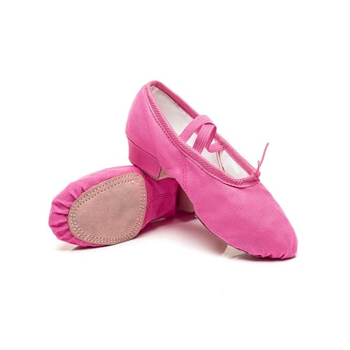 Women's Latin Dance Shoes Kids Canvas Ballroom Character Dance Teaching Shoes Rose 3 M US Little Kid