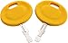 HASMX 2 Pack 925-1745A Lawn Mower Ignition Keys for Bolens Brute Columbia Craftsman Huskee MTD Murray Mastercut Ranch King Troy-Bilt White Outdoor Yard Machines and Yard-Man Models