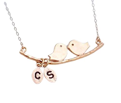 Amazon.com: TWO Bird Initial Necklace 