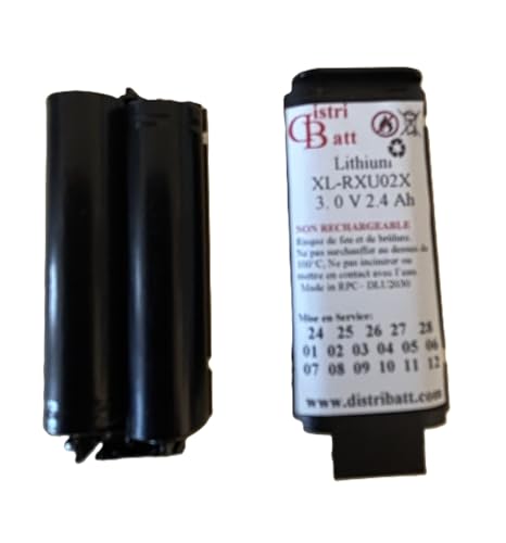 Pile BAT31 BATLI31 3V évitez les pannes d'alarme Daitem Hager