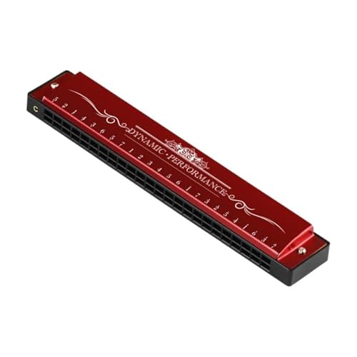 l n[jJ n[jJ _CAgjbN }[J[ 24  C L[ |tHjbN vtFbVi ptH[}X x l Beqinners(R3-Red)