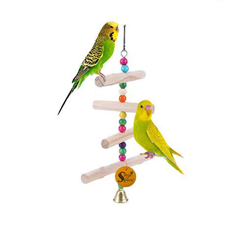 Sage Square Natural Wood Hanging Toy - Interactive Fun for Small & Medium Birds - Cage Accessories for Cockatiel, Lovebird, Budgerigar, Canary, and More,Elevate Your Birds Playtime (Toy 5) (B07VB6YSTR) Amazon Price History, Amazon Price Tracker