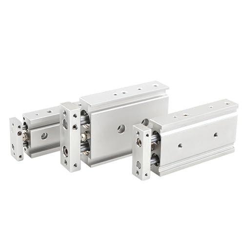 Vérin double tige TR20-60 pneumatique avec double guidage de précision