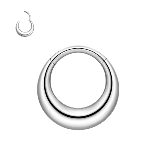 16G Septum Rings Daith Earrings 316L Surgical Steel Hinged Septum Jewelry with Clear Cubic Zirconia for Women Men, 8mm 10mm
