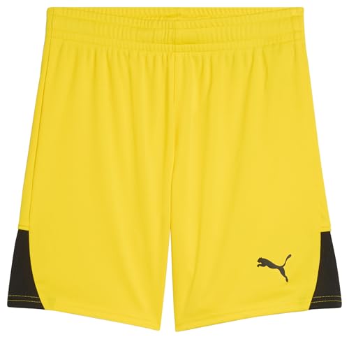 Image of Puma Boys Kids' Teamliga Shorts