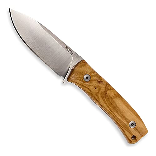 Lion Steel M4 Fixed Blade Camping and Outdoor Knife, M390 Steel Hollow Grind Drop Point Blade, Olive Wood Handle, Includes Double Stitched Leather Sheath (SG_B01M31S5A6_US)