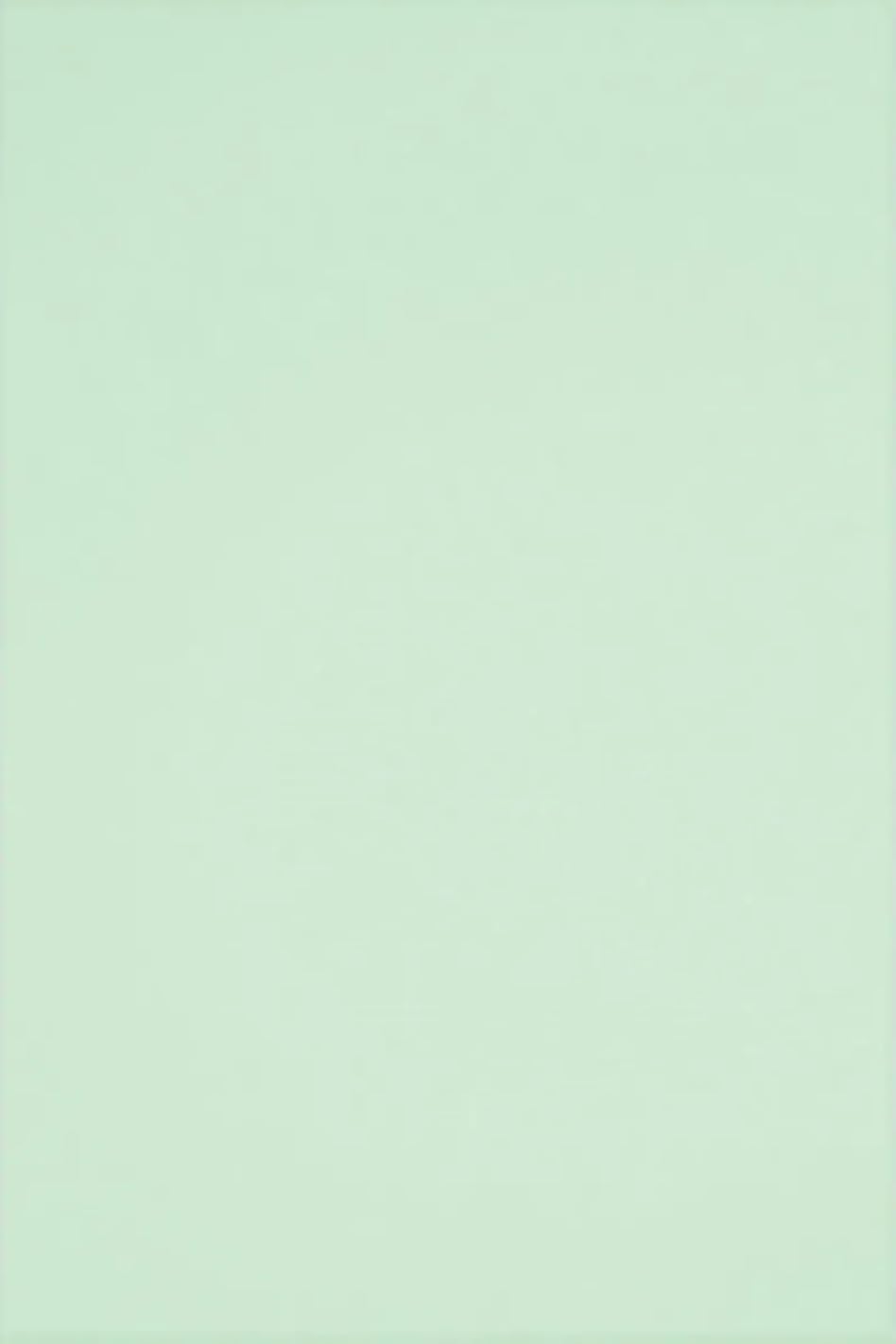 Netuno 25 Sheets Light Green Colored Paper A4 210 x 297 mm 8.27 x 11.69 in 160 GSM Rainbow for Printing Crafts Office Presentations Photocopies