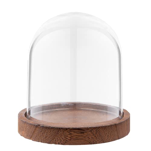 HAES DECO - Cloche en Verre avec Socle en Bois Marron - Diamètre 10 cm et Hauteur 15 cm - Cloche en Verre Décorative Transparente avec Plateau en Bois - ST019441 Cover