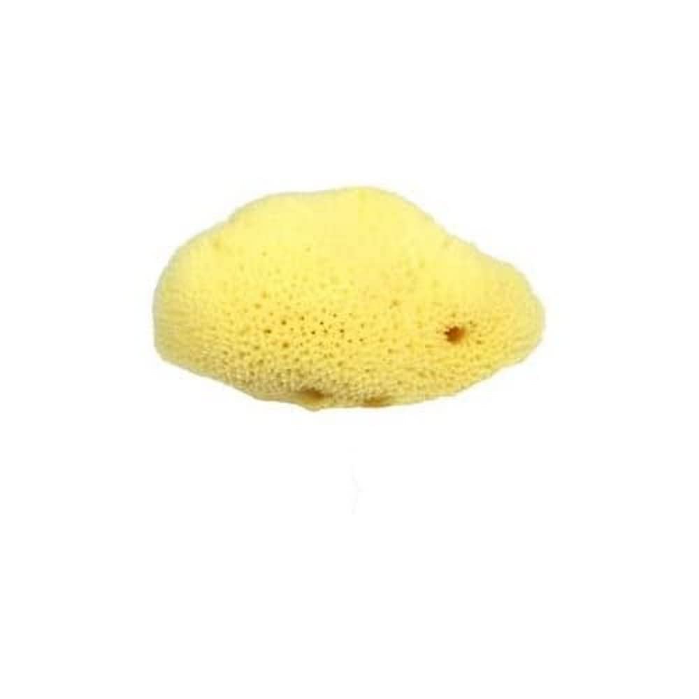 Croll & Denecke L150 - Esponja Natural del mar Mediterráneo (poro Fino, 15 cm)