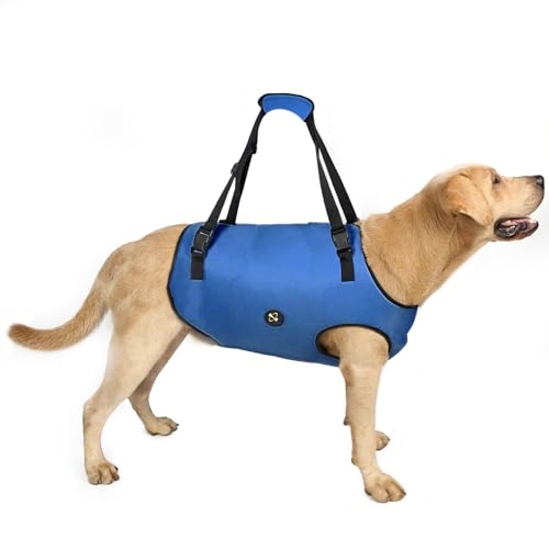 Coodeo Arnés de Elevación para Perros, Soporte para Mascotas Y Rehabilitación. Correas Transpirables Acolchadas Ajustables para Personas Mayores, Discapacitadas Lesiones en Las Articulaciones(Azul, S)
